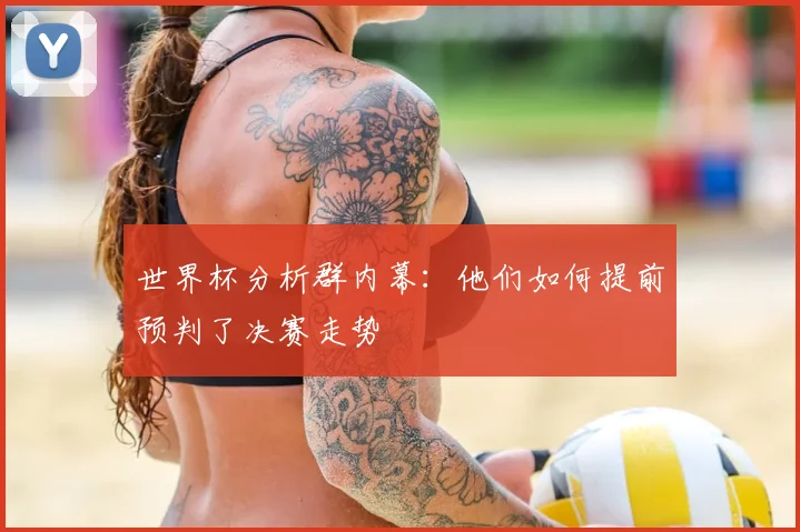 世界杯分析群内幕：他们如何提前预判了决赛走势