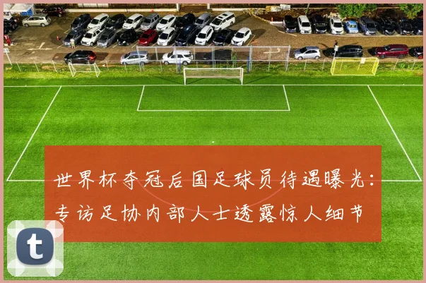 世界杯夺冠后国足球员待遇曝光:专访足协内部人士透露惊人细节