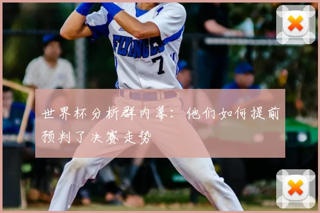 世界杯分析群内幕：他们如何提前预判了决赛走势